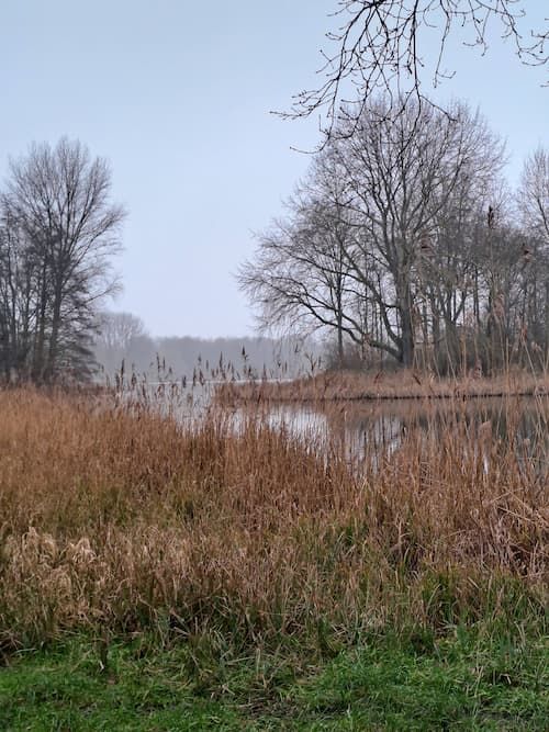 20250120 145213 copy